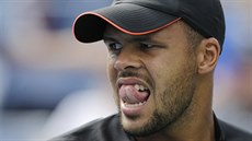 FRANCOUZSKÝ VDCE. Jo-Wilfried Tsonga v Davis Cupu tradin táhne svj tým.