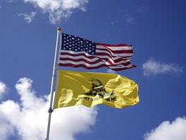 Nad jejich táborem krom vlajky USA vlaje také lutý prapor se stoeným hadem....