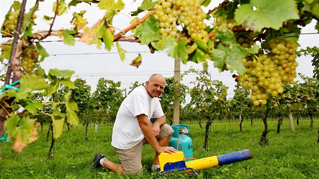 Ubrnme se. Roman Slouk s propanbutanovm dlem ujiuje, e ve vinastv Sonberk se paci dostanou jen na okraj vinice