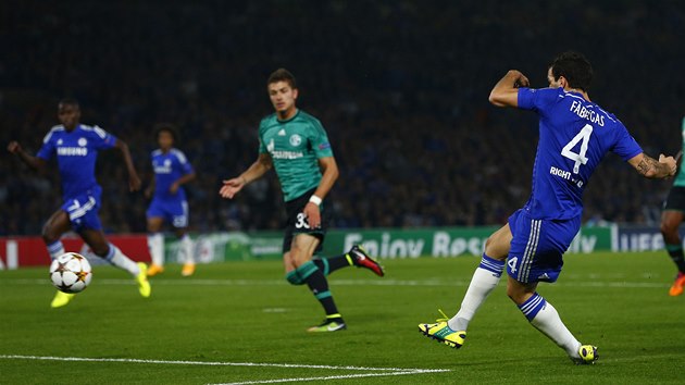 VEDOUC GL. Proti Schalke ho za Chelsea stl Cesc Fbregas.