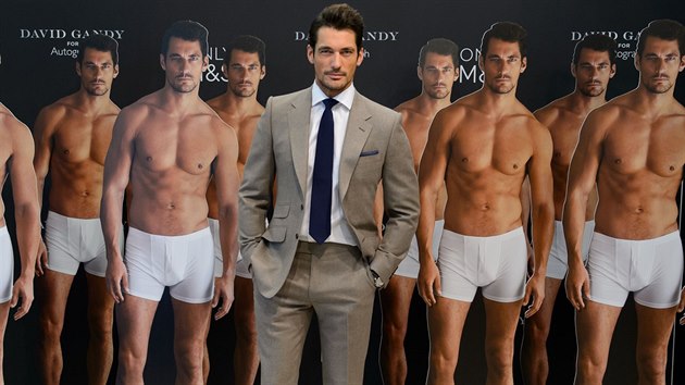 David Gandy (Londn, 18. z 2014)