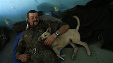 Ukrajinský voják se svým psem u msta Horlivka (18. záí 2014)