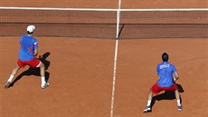etí tenisté hrají proti Francii tyhru pi semifinále Davis Cupu.