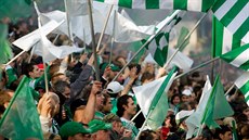 Kultovní fotbalový klub Bohemians 1905 zažil už mnoho vzestupů a pádů. Ale nad... Kultovní fotbalový klub Bohemians 1905 zažil už mnoho vzestupů a pádů. Ale nad...