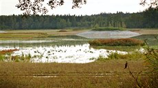 Rybník je vypuštěný, přesto se u hráze už letos lidé podle Vágnera koupali,... Rybník je vypuštěný, přesto se u hráze už letos lidé podle Vágnera koupali,...
