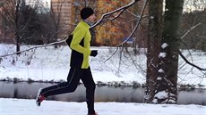 Rungo: Běh Libora Krayzla Rungo: Běh Libora Krayzla