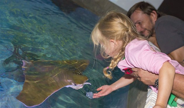 Dotknout se rejnok, to je pro dtské i dosplé návtvníky zlínské zoo velký...