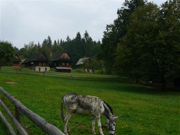 Valaská ddina pedstavuje krom bydlení i zpsoby hospodaení.