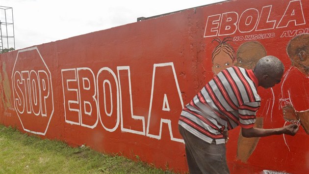 Místní liberijský malí maluje na venkov obraz, který má vzdlávat proti...