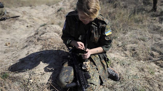 Ukrajinsk armda na vojenskm cvien (21. z 2014)