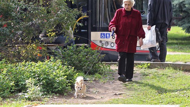 Nedokonen chodnk ped zastvkou MHD na jihlavskch Bezinkch. Jmu nkdy v budoucnu peklene lvka.