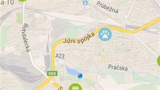 Na map najdete adresy veterinárních ordinací prodejen se rádlem pro psy.