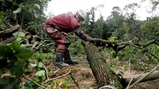 V Bulharech na Beclavsku naopak hasii ve svazích, u kterých hrozí sesuv pdy,...