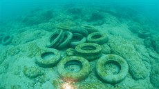 Umle vytvoený útes Osborne Reef na východním pobeí Floridy tvoí dva...