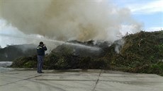 V Drakovicích u Pardubic hoela hromada oezaných devin.