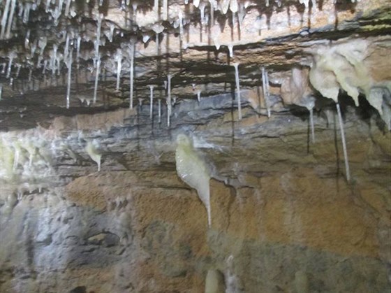 Speleologové v Býí skále objevili stometrovou chodbu s krápníky.