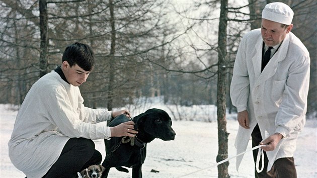 Psy, kte se dostali do laboratoe Vladimira Demichova (vpravo), ekal tragick osud. Tvoil z nich dvouhlav kreatury, kter zhy umraly.
