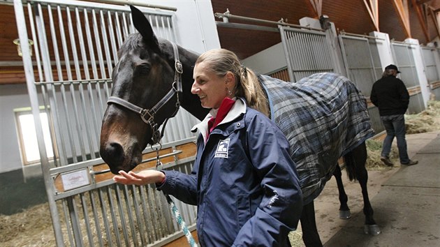 Klisna Orphee des Blins bude hlavn favoritkou vkendov Velk pardubick. Ve Zhoi se o ni star chovatelka Katarna Barborkov.