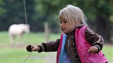 Dti jsou z lesní kolky ve Svatoských skalách nedaleko Karlových Var nadené.