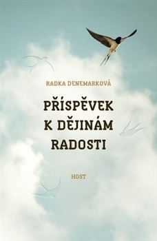 Oblka romnu Pspvek k djinm radosti