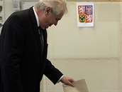 Prezident Milo Zeman odevzdal svj hlas v komunálních a senátních volbách.