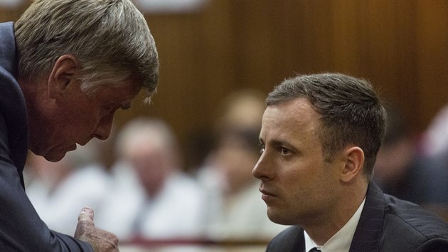 Oscar Pistorius hovo se svm prvnm zstupcem (13. jna 2014).
