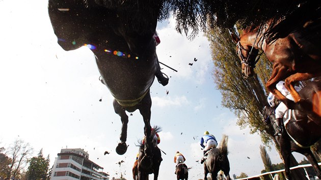 Velk pardubick