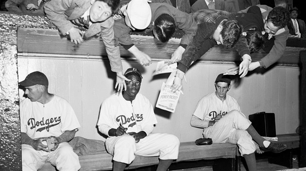 Dokzal to. Jackie Robinson porazil rasov pedsudky a stal se milkem fanouk Dodgers, nejen tch nejmench.