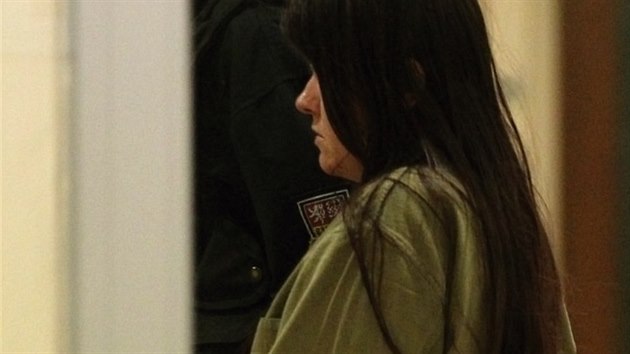 tonice ze ru nad Szavou u jihlavskho soudu, kter rozhoduje o uvalen vazby (15. jna 2014)