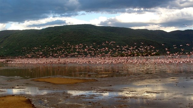 Jezero Bogoria