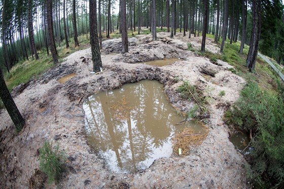 Takto dokáí hledai vltavín zniit les. Snímek je od Byova na Novohradsku.