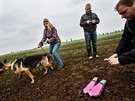 Stratocaching. Experiment sdruení  ádná vda, které vypustilo na...