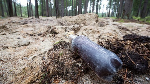 Hledai vltavn plundruj dal les. Tentokrt u Byova na Novohradsku