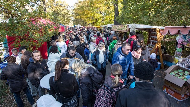 Vlov Munickho rybnku u Hlubok nad Vltavou.