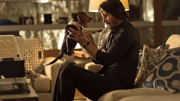 Keenu Reeves ve filmu John Wick