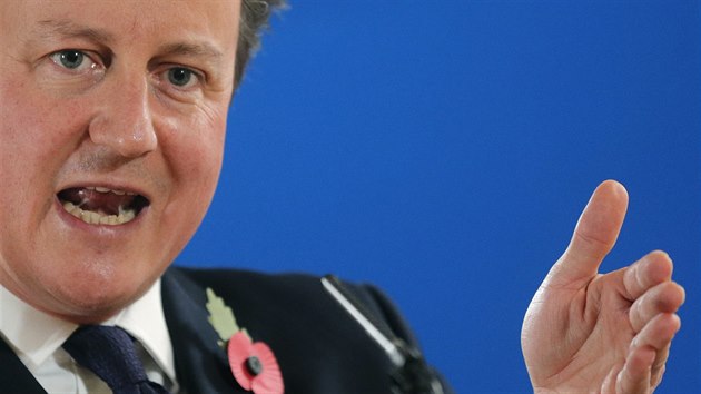 Britsk premir David Cameron na summitu EU v Bruselu (24. jna 2014).