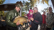 Výlov Munického rybníku u Hluboké nad Vltavou. Výlov Munického rybníku u Hluboké nad Vltavou.