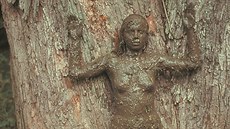 Ana Mendieta, Strom ivota, 1976