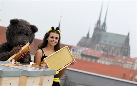 Na stee hotelu International v centru Brna se usídlilo zhruba dv st tisíc...