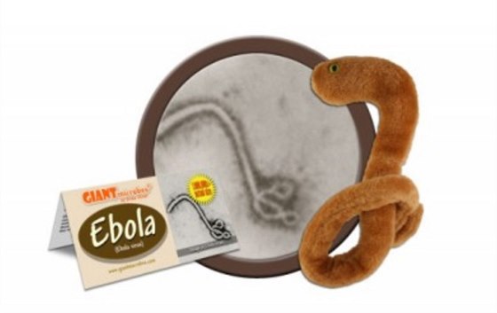Virus ebola prodává firma Giant Microbes v podob plyáka jako uební pomcku....