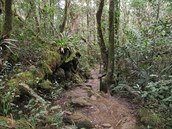 Mt. Kinabalu International Climbathon 28th summit race