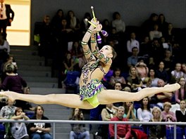 Grand Prix moderních gymnastek v Brn.