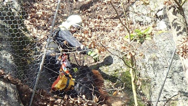 Hasii zachraovali psy, kte se zamotali do ochrannch st nad ekou Oh v Lokti na Sokolovsku.