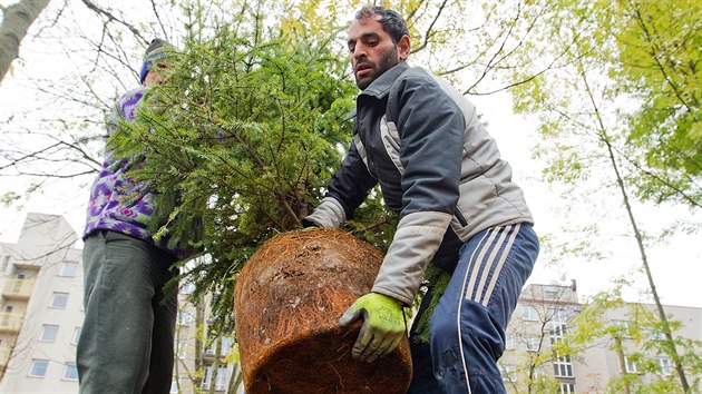 V Hradci roste nov park Sklennka (listopad 2014).