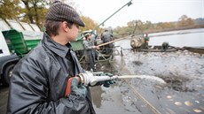 Redaktor Radek Štěpánek při výlovu rybníku Řežabinec u Písku. Redaktor Radek Štěpánek při výlovu rybníku Řežabinec u Písku.