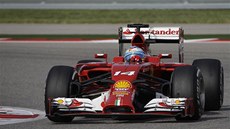 Fernando Alonso ve Velké cen USA formule 1. 