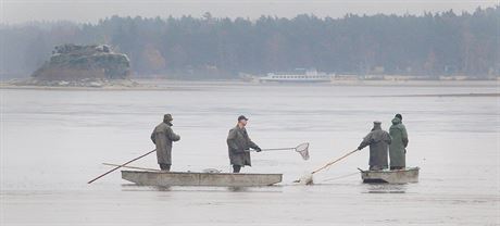 K Máchovu jezeru se zase vrátí rybái. Na snímku výlov jezera v roce 2014.