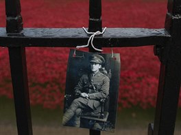 Fotografie vojáka na plot poblí instalace, která pipomíná padlé za první...