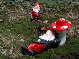 Zahradní park Gnome Reserve se rozkládá na ploe 1,6 hektaru mezi anglickými...