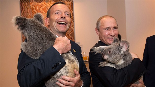 smv na tvi ruskho prezidenta tak vyloudila jen roztomil koala (15. listopadu)